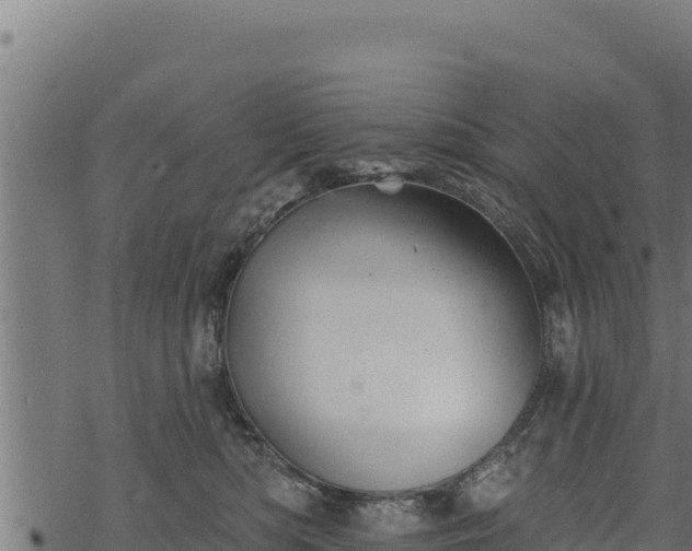 X0000068820422200605121320