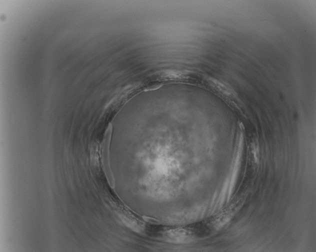 X0000068820423200605121320