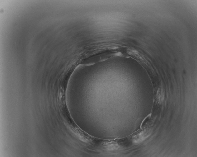 X0000068820424200605121320