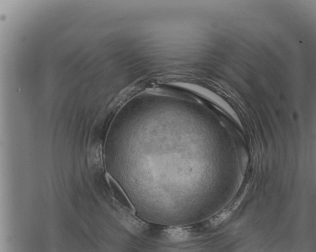 X0000068820425200605121320