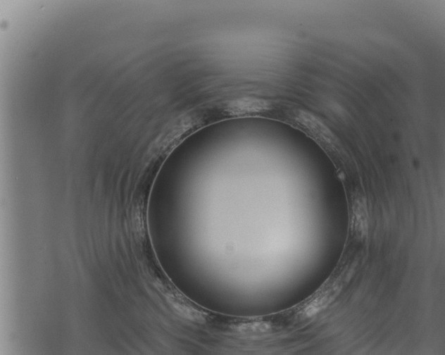 X0000068820426200605121320