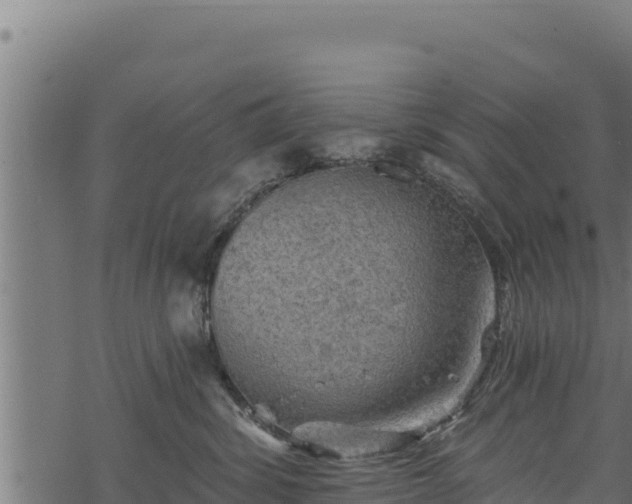 X0000068820428200605121320