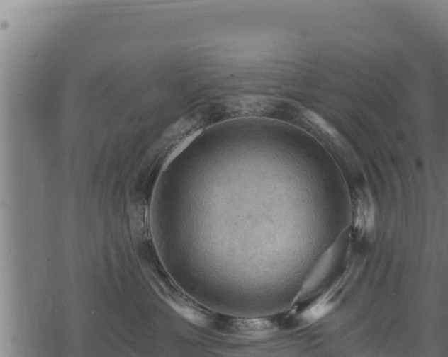 X0000068820429200605121320