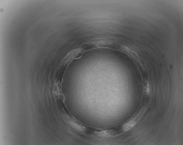 X0000068820430200605121320