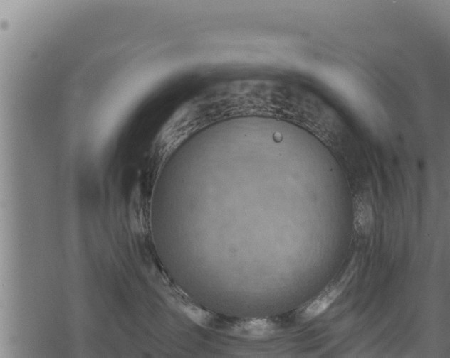 X0000068820431200605121320