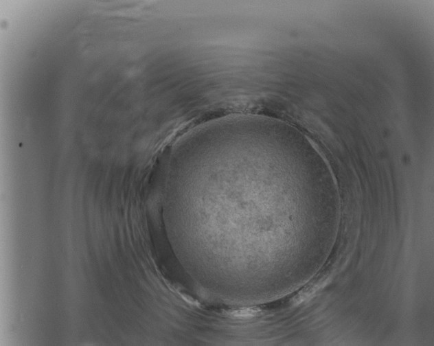 X0000068820432200605121320