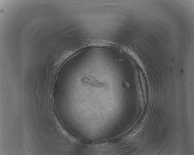 X0000068820433200605121320