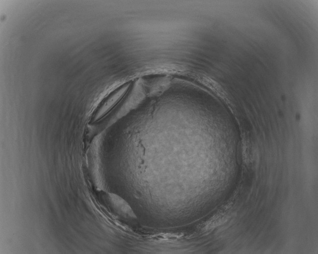 X0000068820434200605121320