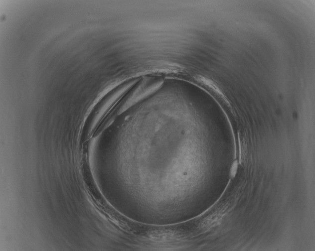 X0000068820435200605121320