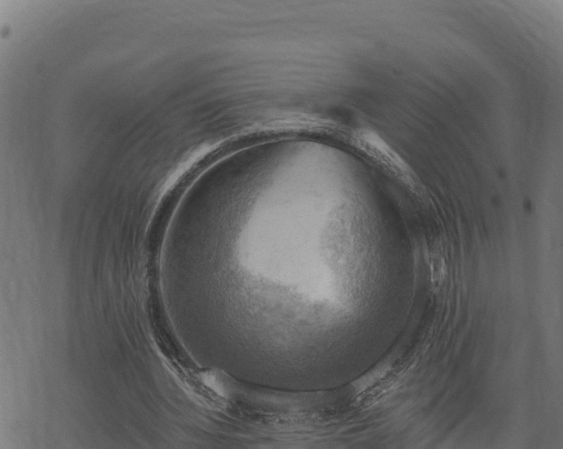 X0000068820436200605121320