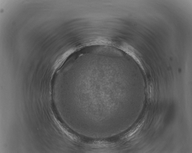 X0000068820437200605121320