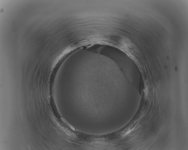 X0000068820438200605121320