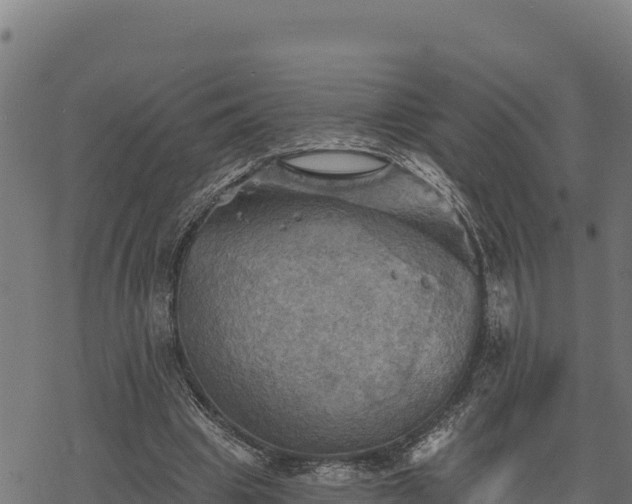 X0000068820441200605121320