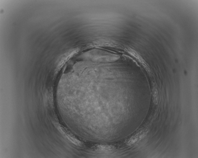 X0000068820442200605121320