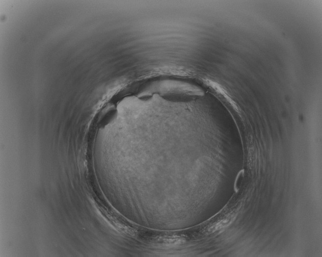 X0000068820443200605121320