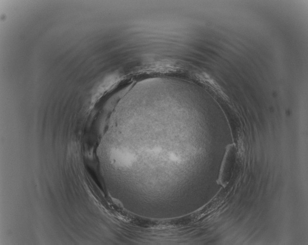 X0000068820444200605121320