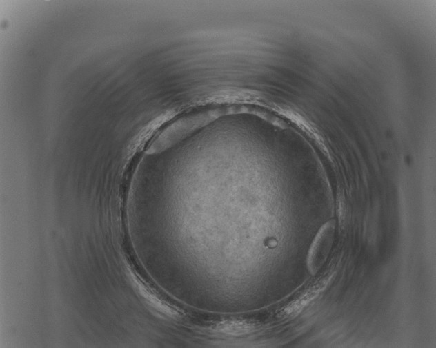 X0000068820445200605121320