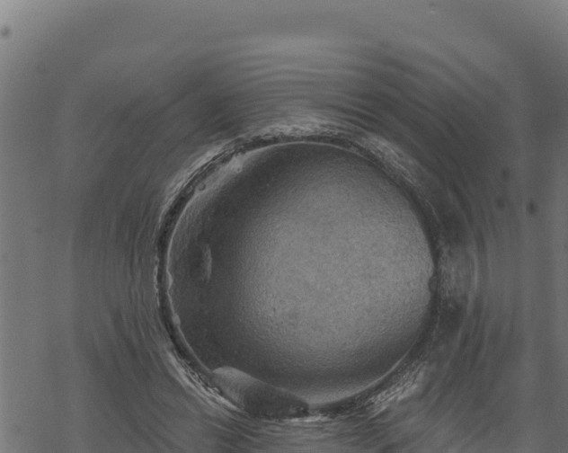 X0000068820446200605121320