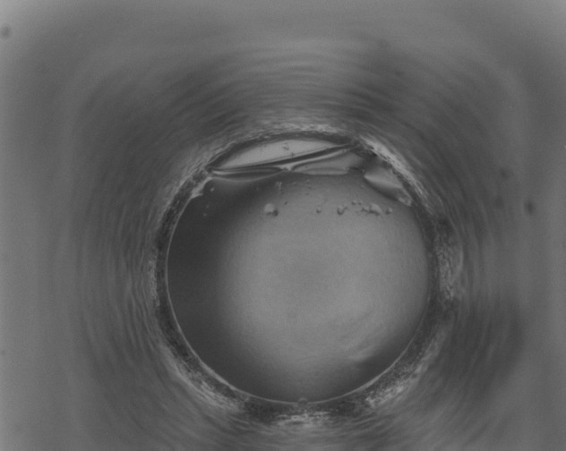 X0000068820447200605121320