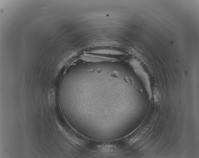 X0000068820448200605121320