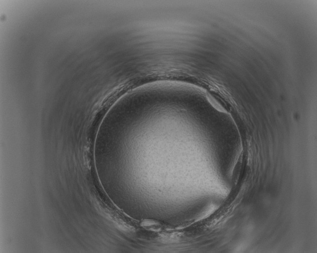 X0000068820450200605121320