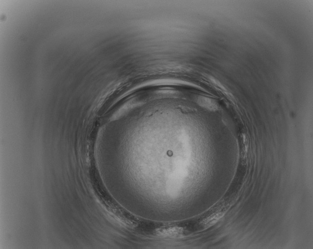 X0000068820452200605121320