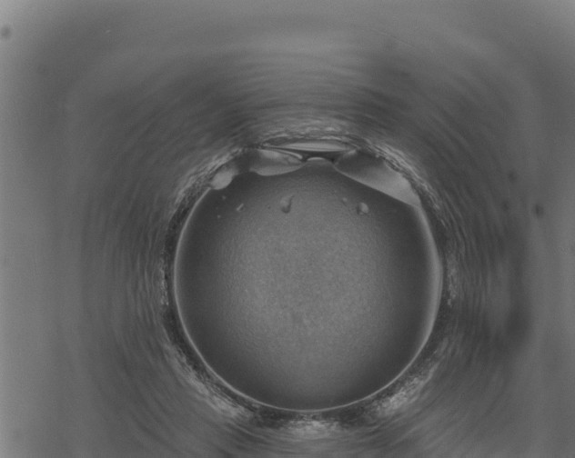 X0000068820453200605121320