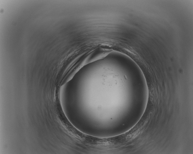 X0000068820454200605121320