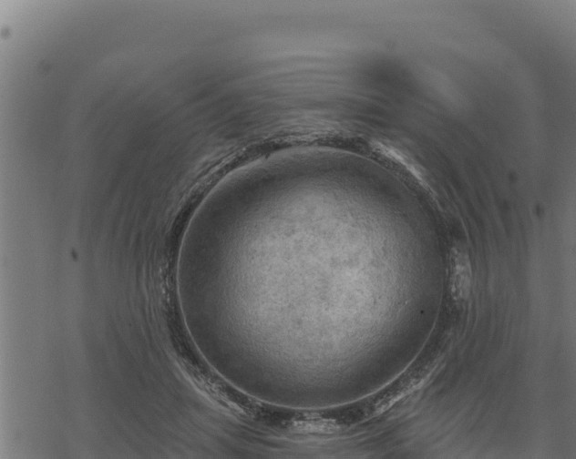 X0000068820455200605121320