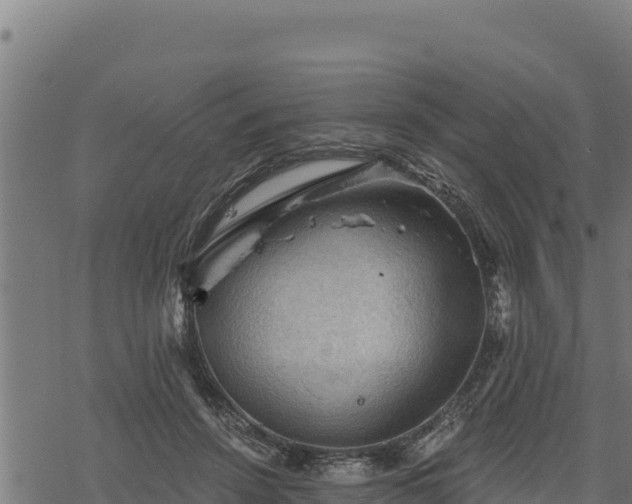 X0000068820456200605121320