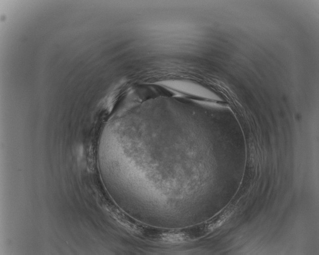 X0000068820457200605121320