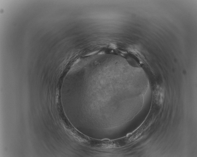 X0000068820458200605121320