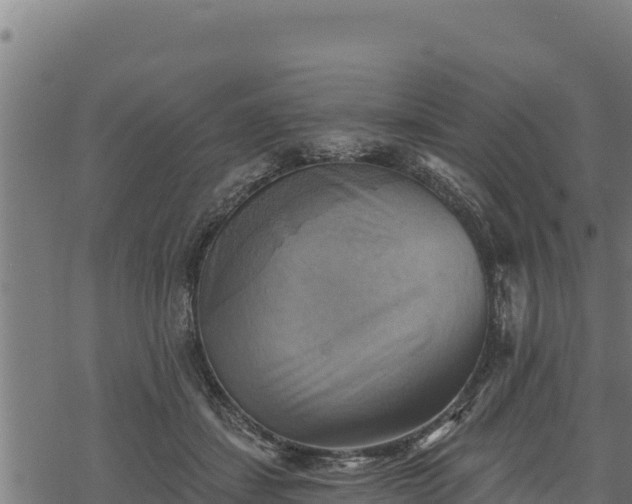 X0000068820459200605121320