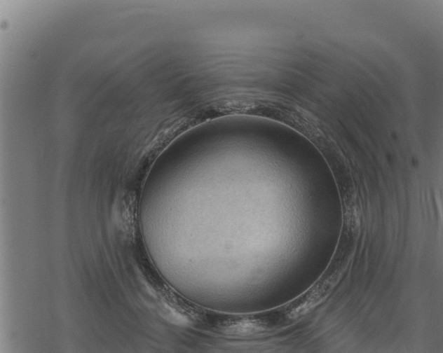 X0000068820460200605121320