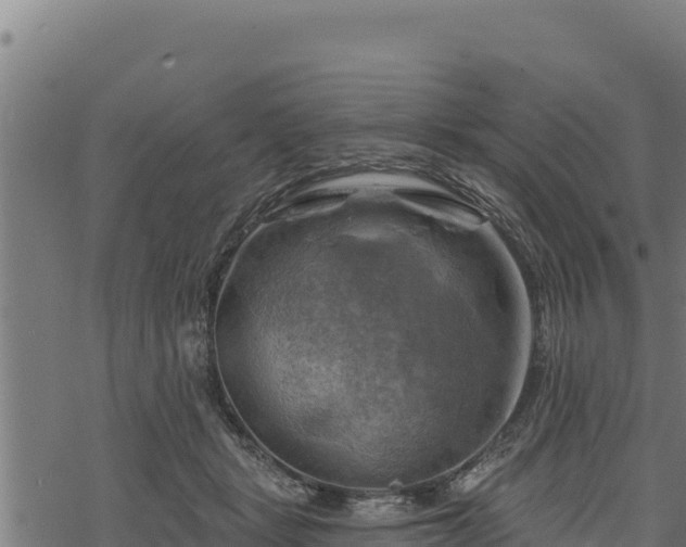 X0000068820461200605121320