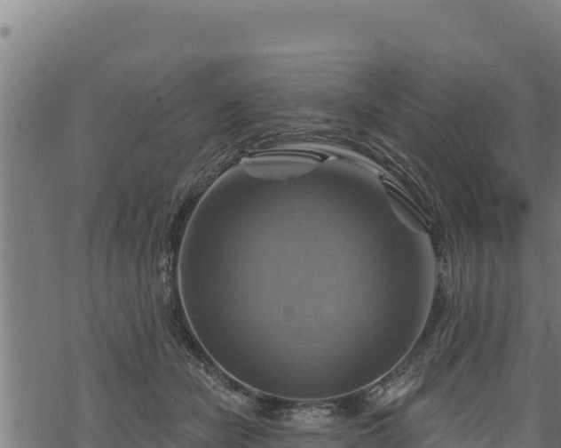 X0000068820462200605121320