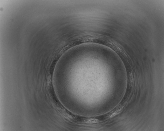 X0000068820463200605121320