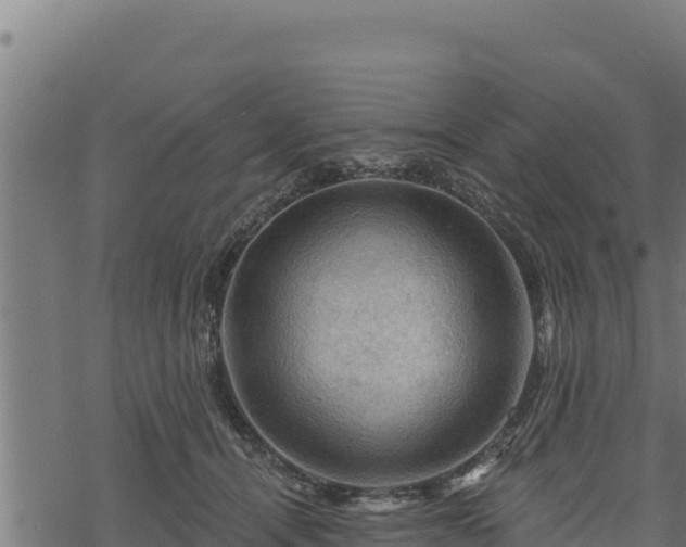 X0000068820464200605121320