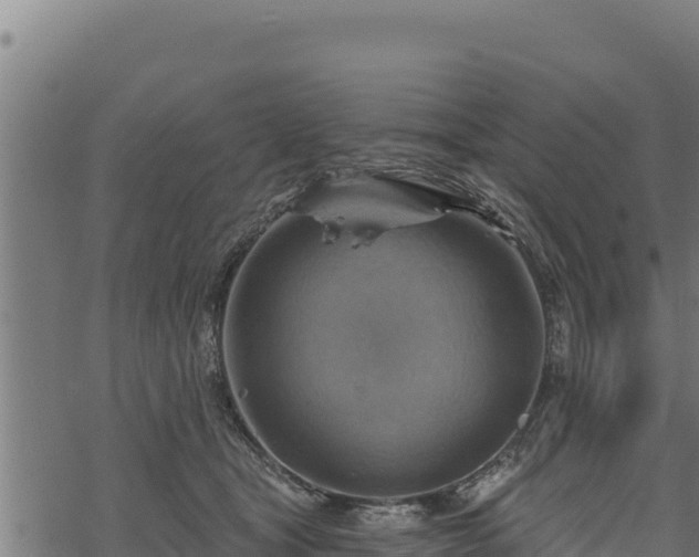 X0000068820465200605121320