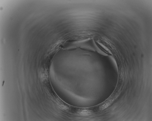 X0000068820467200605121320