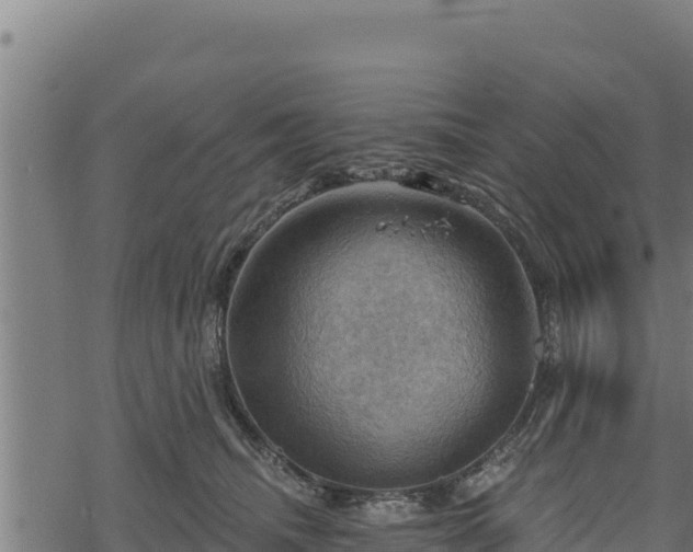 X0000068820468200605121320