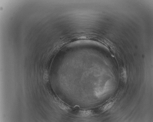 X0000068820469200605121320