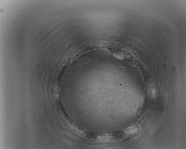 X0000068820470200605121320