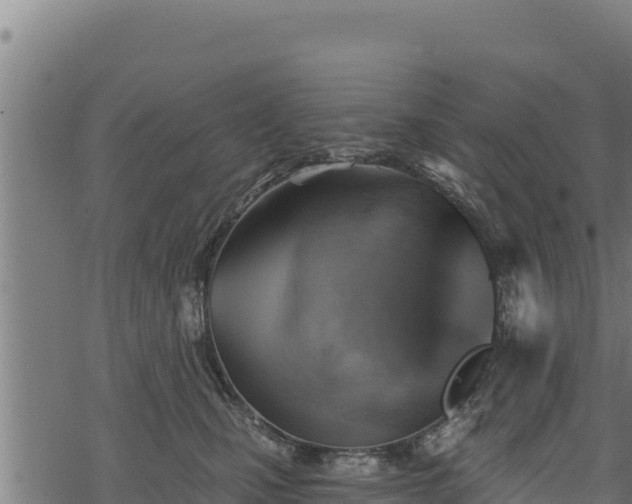 X0000068820471200605121320