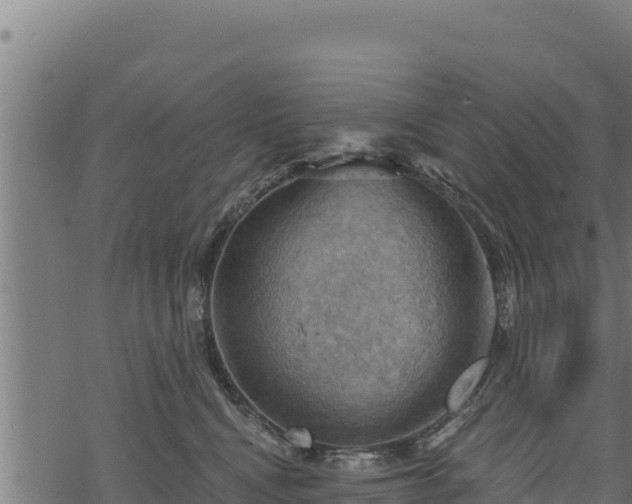 X0000068820472200605121320