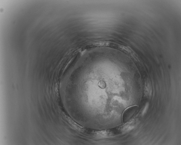 X0000068820473200605121320