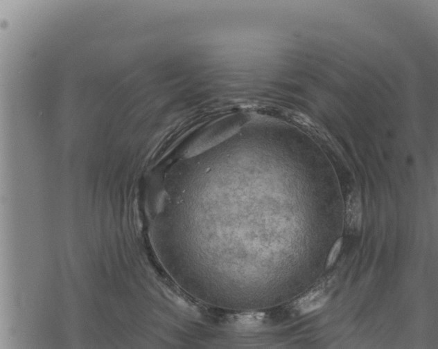 X0000068820474200605121320