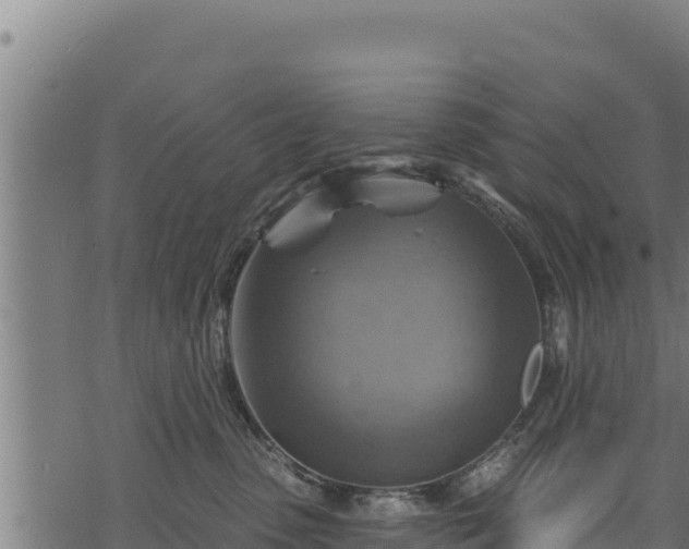 X0000068820475200605121320