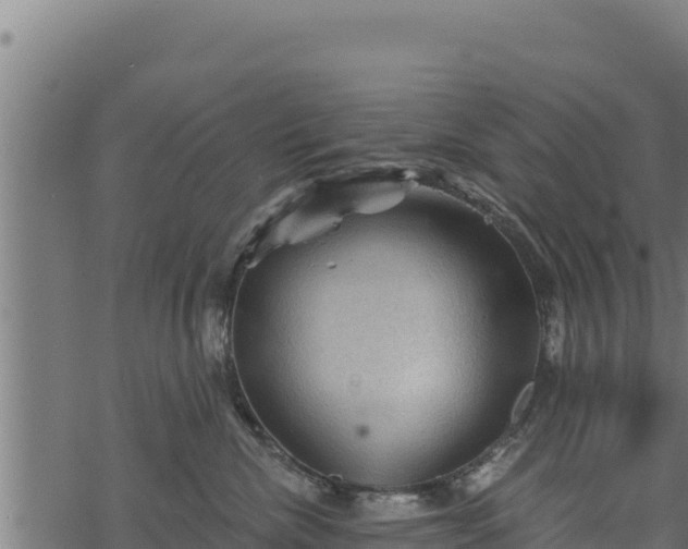 X0000068820476200605121320