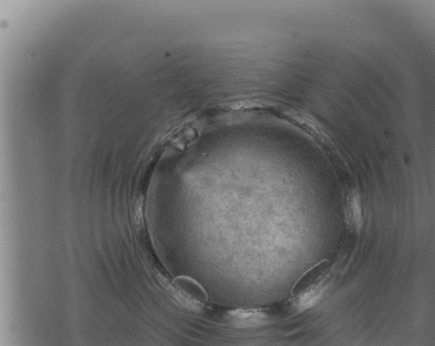 X0000068820477200605121320